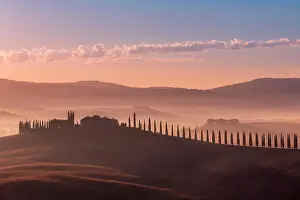 Farmhouse: Tuscan landscape with road lined with cypress trees