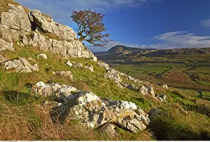 200617: Twistleton Scar, near Ingleton, North Yorkshire