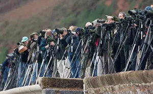 Binoculars: Twitchers / Birdwatchers - with telescopes and