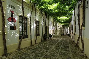 Sherry: The typical Andalusian style Calle Ciegos with trained v