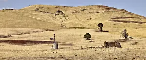 Victoria: Typical central Victoria landscape in mid summer