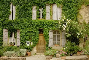 Flowerpots: Typical cottage in Luberon