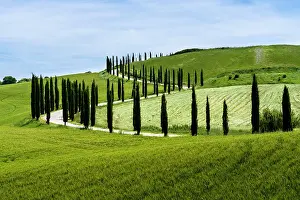 D Orcia: Typical green Tuscany landscape in Val d?Orcia with