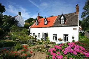 Completely: Typical Guernsey stone houses with lots of floral