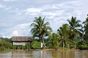 Kinabatangan: A typical Malaysian house along river Kinabatangan
