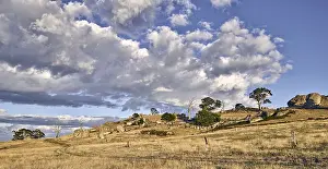 Jean-marc La Roque: Typical summer landscape in central Victoria near