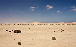 Including: Typical view over the gravel plains toward the