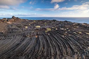 Hierro: Typical volcanic landscape near La Restinga, Pahoehoe
