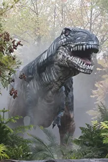 Replica: Tyrannosaurus