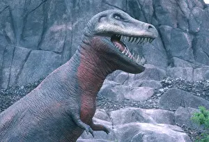 Calgary: Tyrannosaurus rex