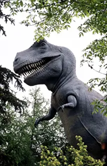 Models: Tyrannosaurus Rex