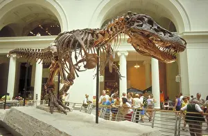 Tyrant: Tyrannosaurus Rex