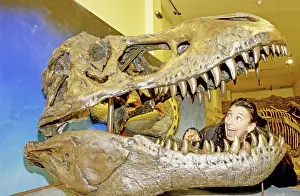 Tyrannosaurus: Tyrannosaurus Rex