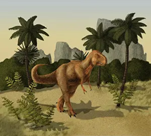 Dinosaur: Tyrannosaurus rex