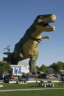 Reconstruction: Tyrannosaurus rex