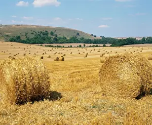 Mark Walker: UK - Corn bales on South Downs
