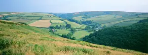 Bleached: UK - high summer landscape, bleached grasses &