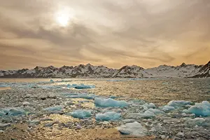 Delisle: UK Territory, South Georgia Island. Mellow