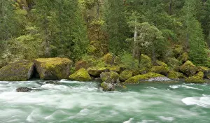 Rapids: The Umpqua river, Oregon