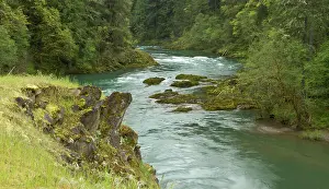 Umpqua: The Umpqua river, Oregon