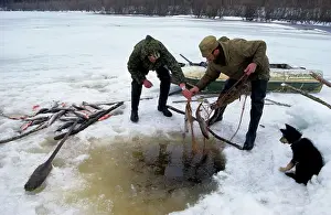 Salmons: Under-ice net fishing, typical in Russia and particularly