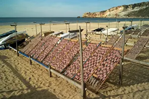 Commerical: Unfamiliar sight of fish drying in the sun
