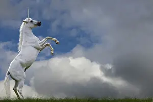 Copyspace: Unicorn