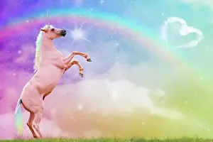 Unicorn: Unicorn - rearing