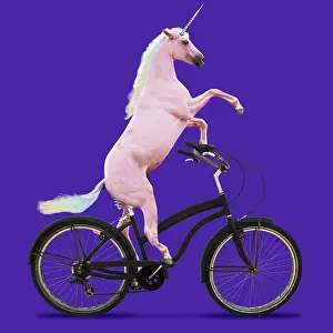 Bicycles: Unicorn, riding a bike