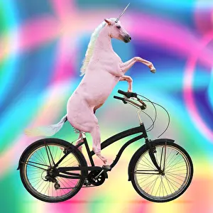 Bicycle: Unicorn, riding a bike