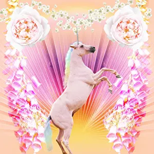 Unicorn: Unicorn, surrounded by flowers