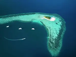 Dreamlike: Uninhabited island for day trips with palm trees