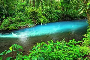 Lush: Unique changing colors at Rio Celeste, Tenorio Volcano