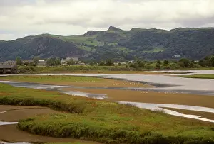 Anglesey: United Kingdom, Wales. Scenic landscape
