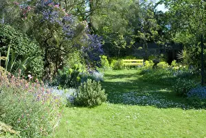 Unkempt: Unkempt Garden Lawn