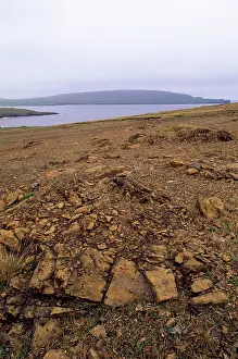 Unst: Unst - Shetland Islands - Keen of Hammar National