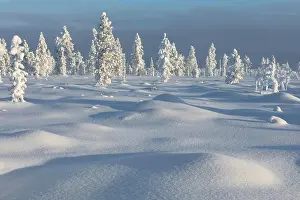 Finnish: Untouched winter landscape in Finnish Lapland