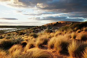Simpson: Unusual flood water between dunes