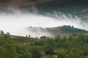 Dovrefjell: Upcoming fog over the tundra of the Dovrefjell