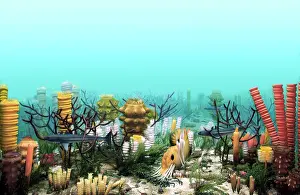 Sponges: Upper Devonian Sea