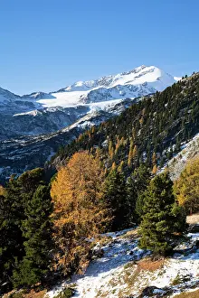 Larix: The upper valley Martelltal in fall with