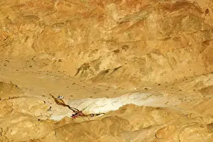 Commerical: Uranium Prospecting taking place in the Moon Valley