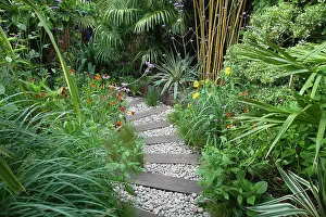Pathway: Urban garden