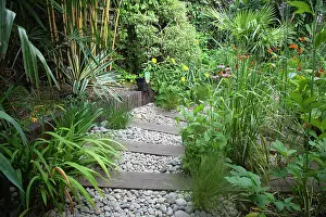 Pathway: Urban garden