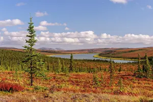 Brooks: USA, Alaska, Kotzebue, Noatak River. Autumn colors