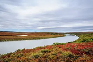 Brooks: USA, Alaska, Noatak National Preserve. Autumn colors