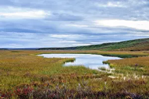 Brooks: USA, Alaska, Noatak National Preserve. Wetlands