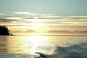 Stewart: USA, Alaska, Southeast near Ketchikan, sunset