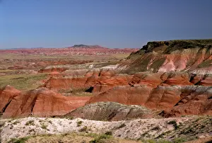Mesa: USA - Arizona - Blue Mesa Petrified Forest National Park