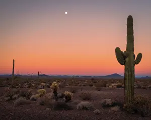 Moon: USA, Arizona, Kofa National Wildlife Area. Mountain
